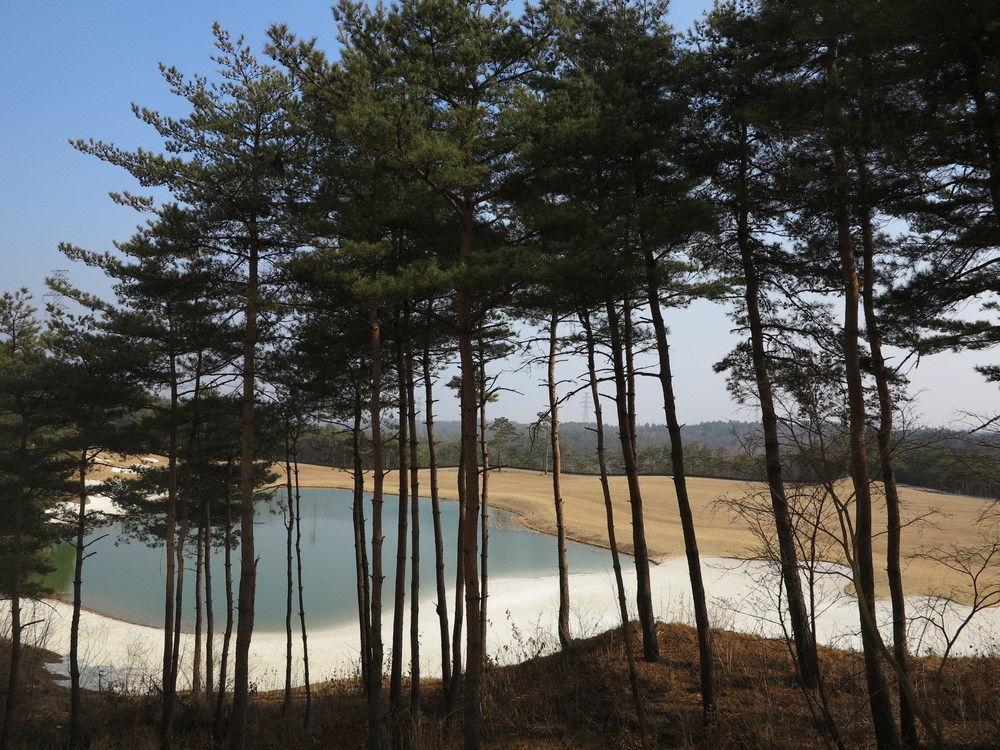 Pineridge Hotel Sokcho Exterior foto