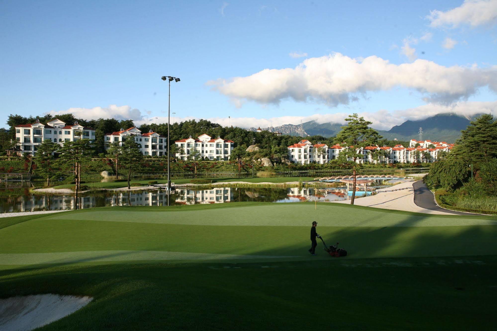 Pineridge Hotel Sokcho Exterior foto